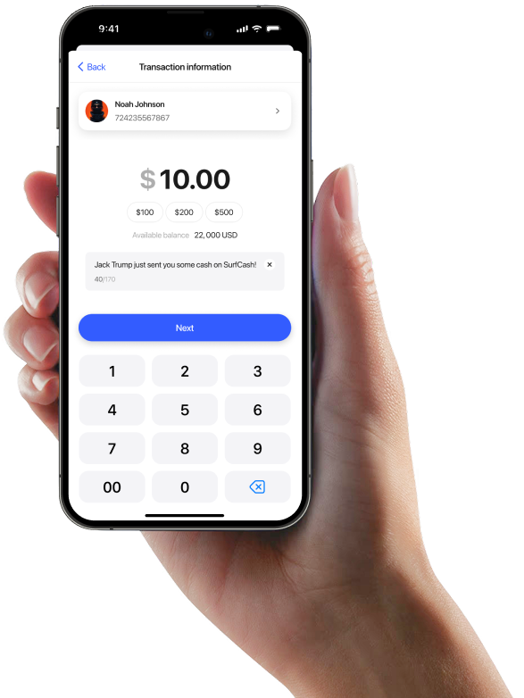 Transaction Screen in Hand